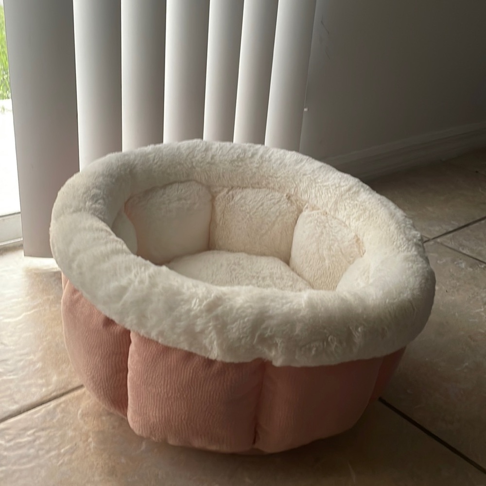 Really good condition ; Looks like brand new .